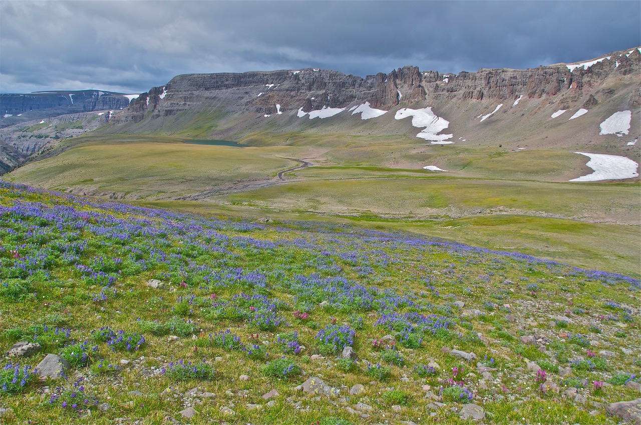 South Absaroka Washakie Wilderness