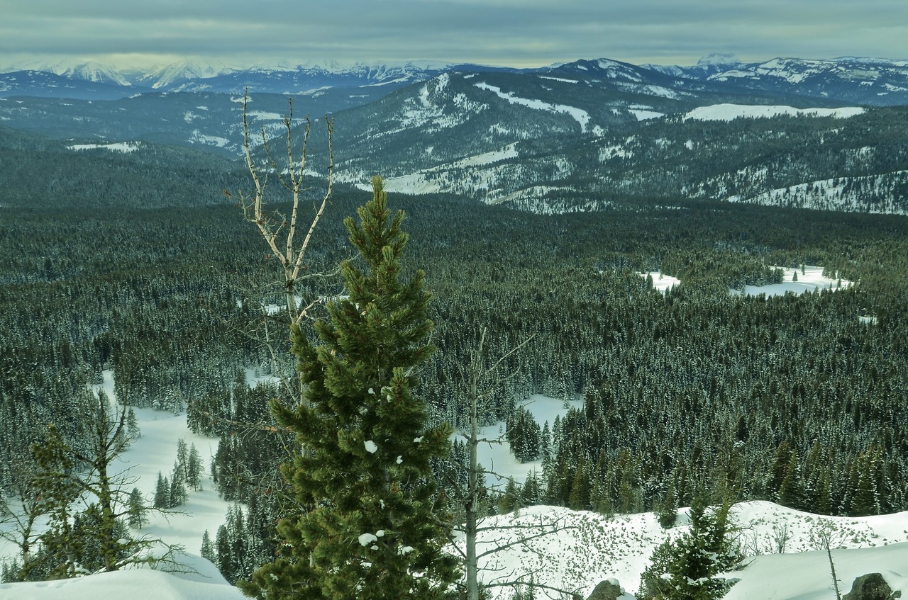 Gallatin Range proposed wilderness Custer Gallatin NF