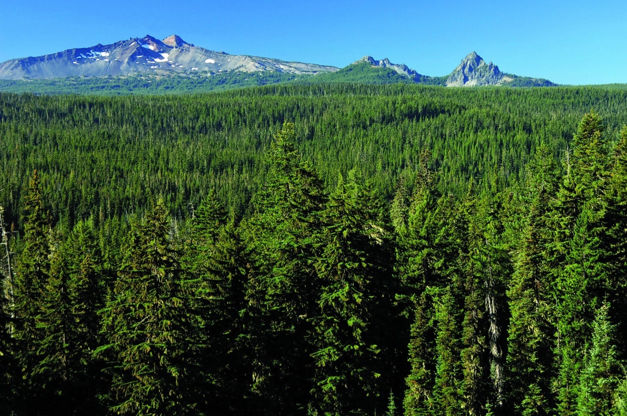 Diamond Peak Wilderness