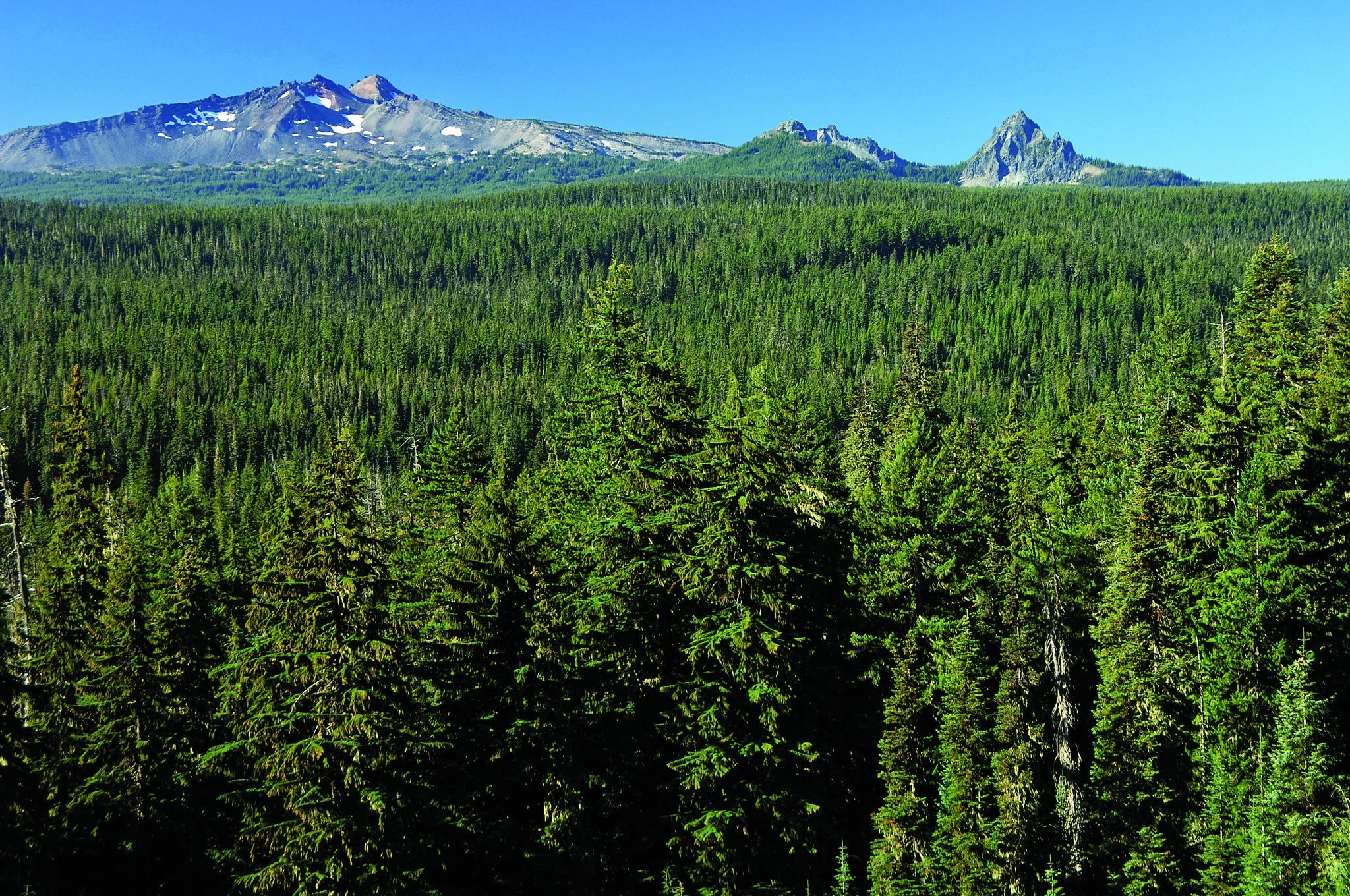 Diamond Peak Wilderness