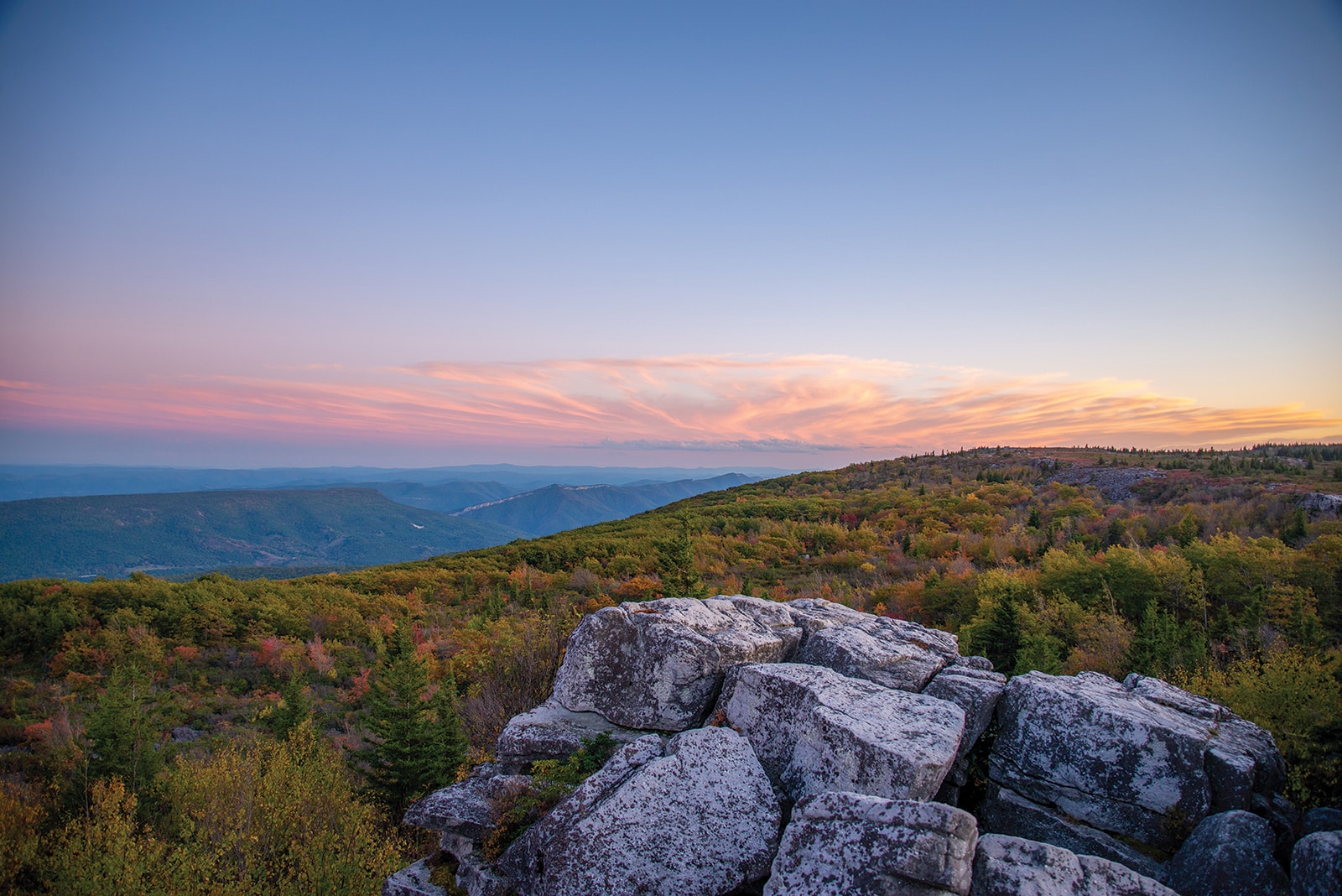 Dolly Sods Wilderness