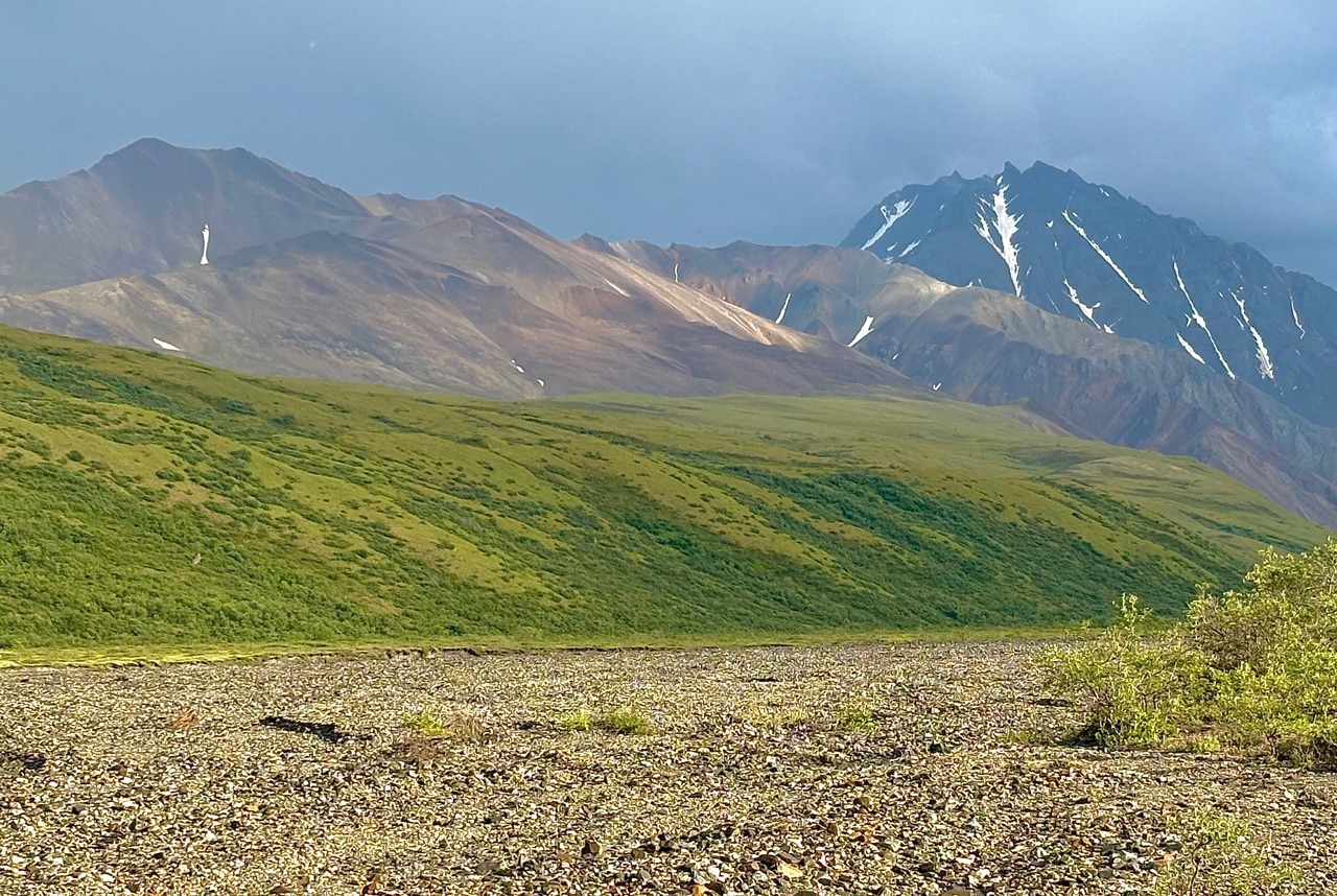 Denali Wilderness by Howie Wolke