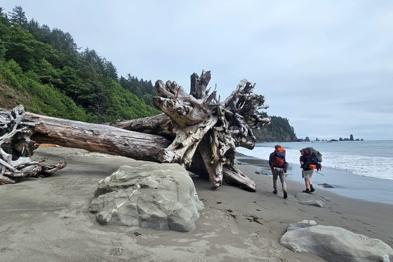 Olympic Wilderness, Washington