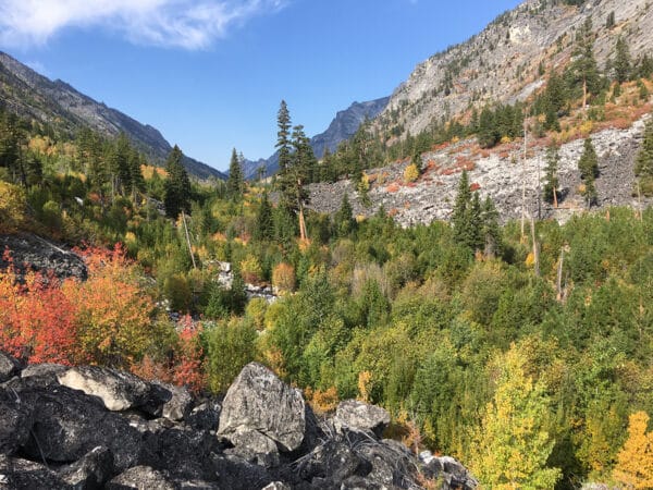 Selway-Bitterroot Wilderness by Brett Haverstick