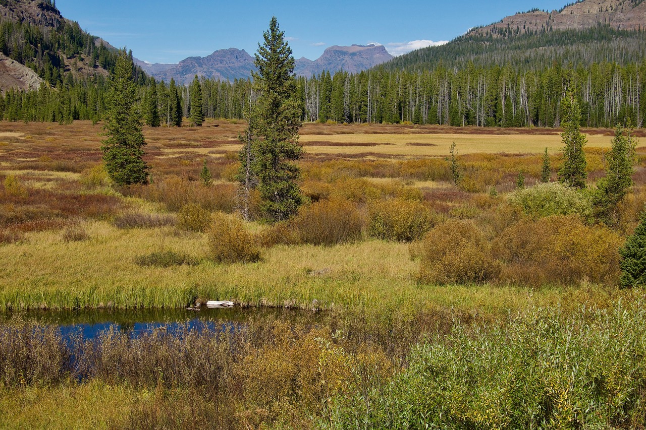 Washakie Wilderness by Howie Wolke